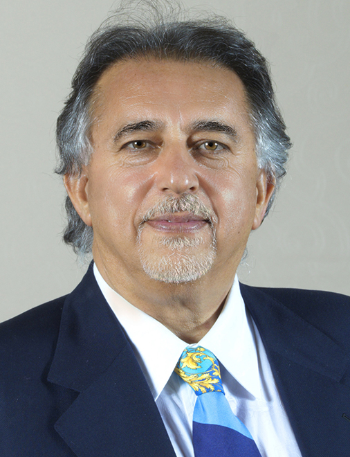 Mehdi Hatamian