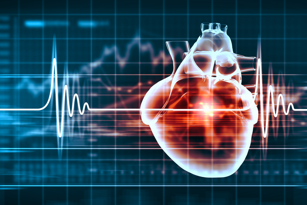 Virtual image of human heart with cardiogram-1